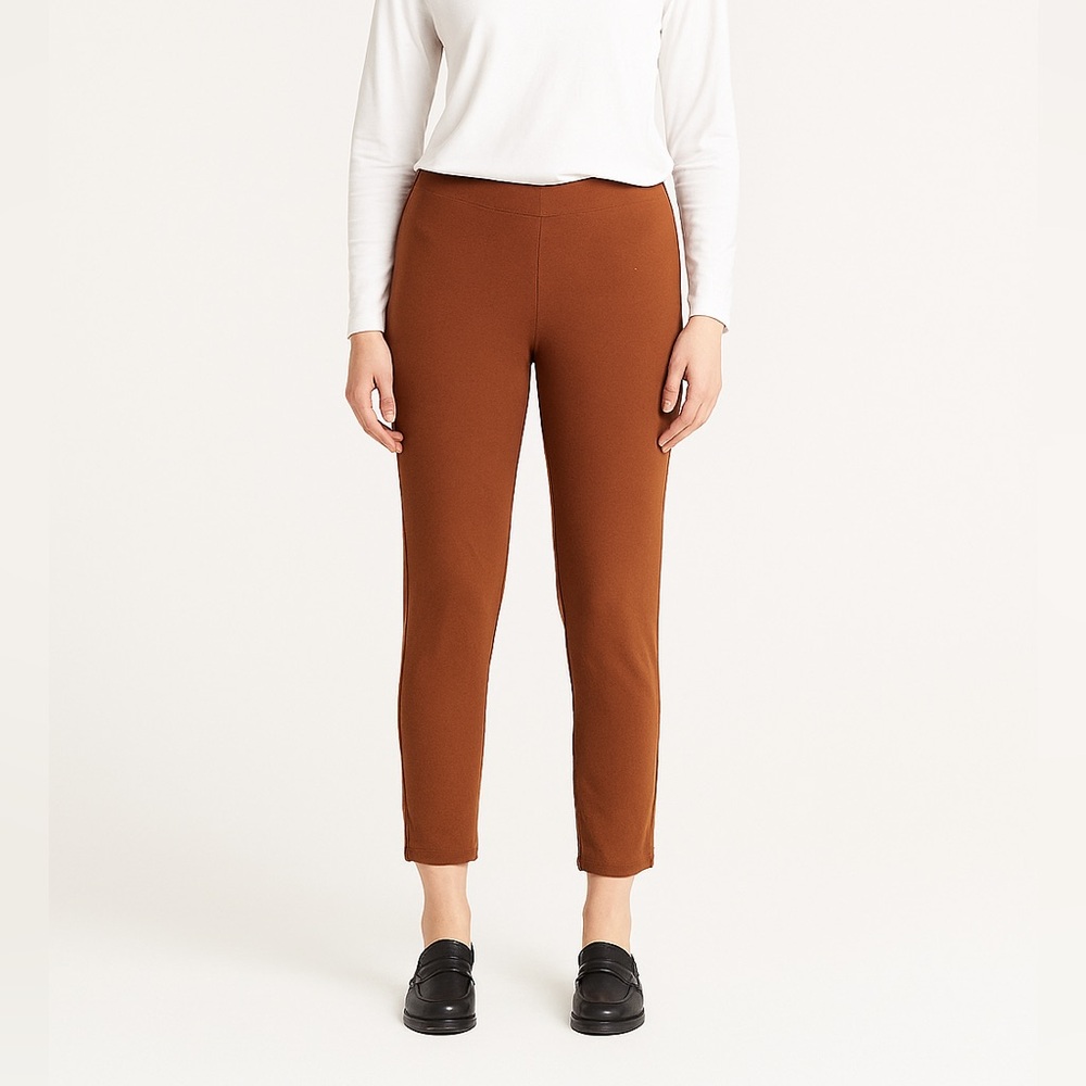 Eileen Fisher Womens Small Petite Cocoa Brown Tummy Control Skinny Pants Cropped